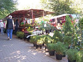 2. Pflanzen und Erntemarkt vor dem Ellerauer Bürgerhaus
