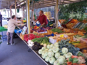 Ellerauer Pflanzenmarkt 2009
