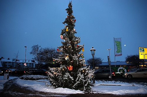 Weihnachtsbaum 2010 vor dem Ellerauer Rathaus